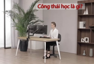 Công thái học là gì? Vì sao nên sử dụng các sản phẩm công thái học